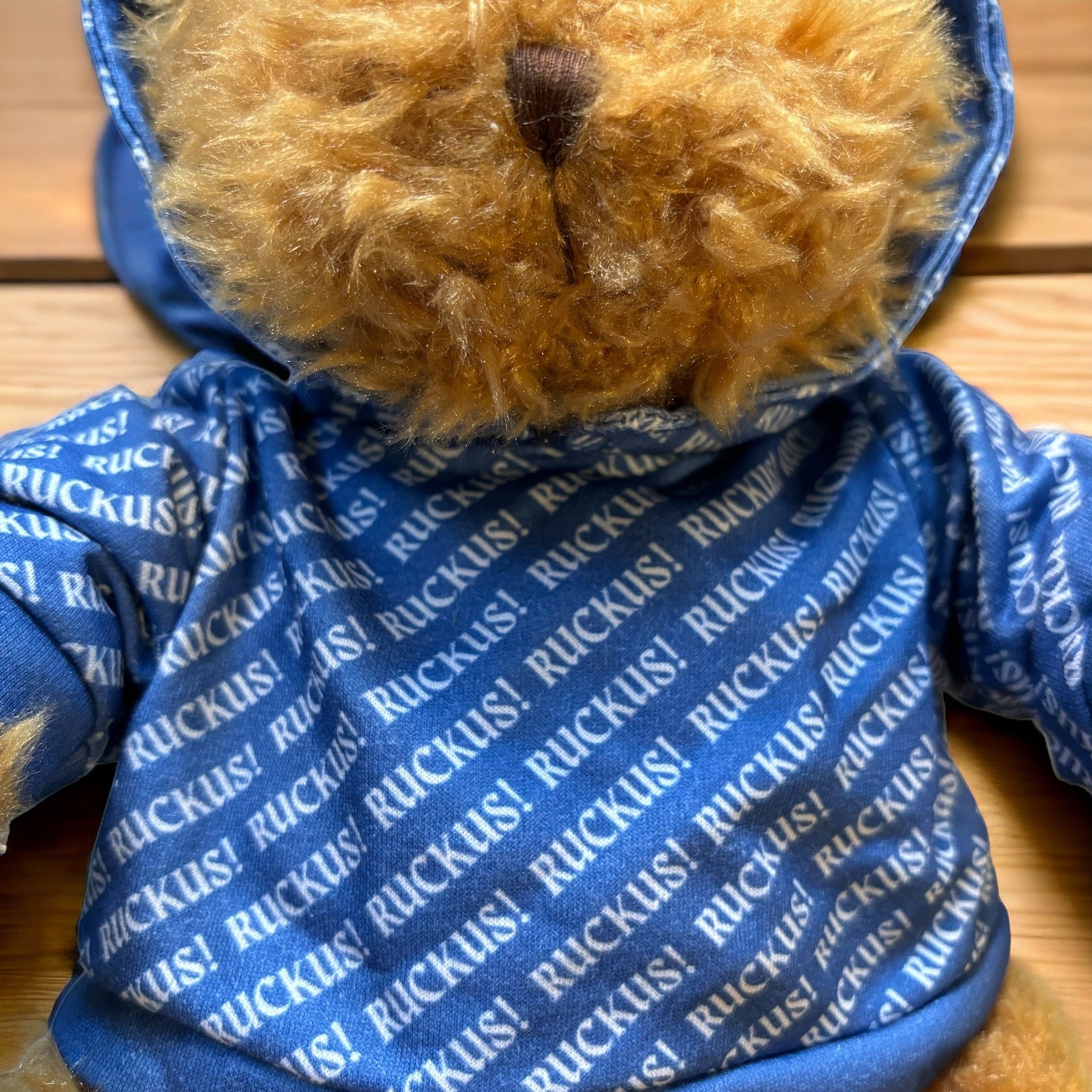 Blue teddy hoodie hotsell