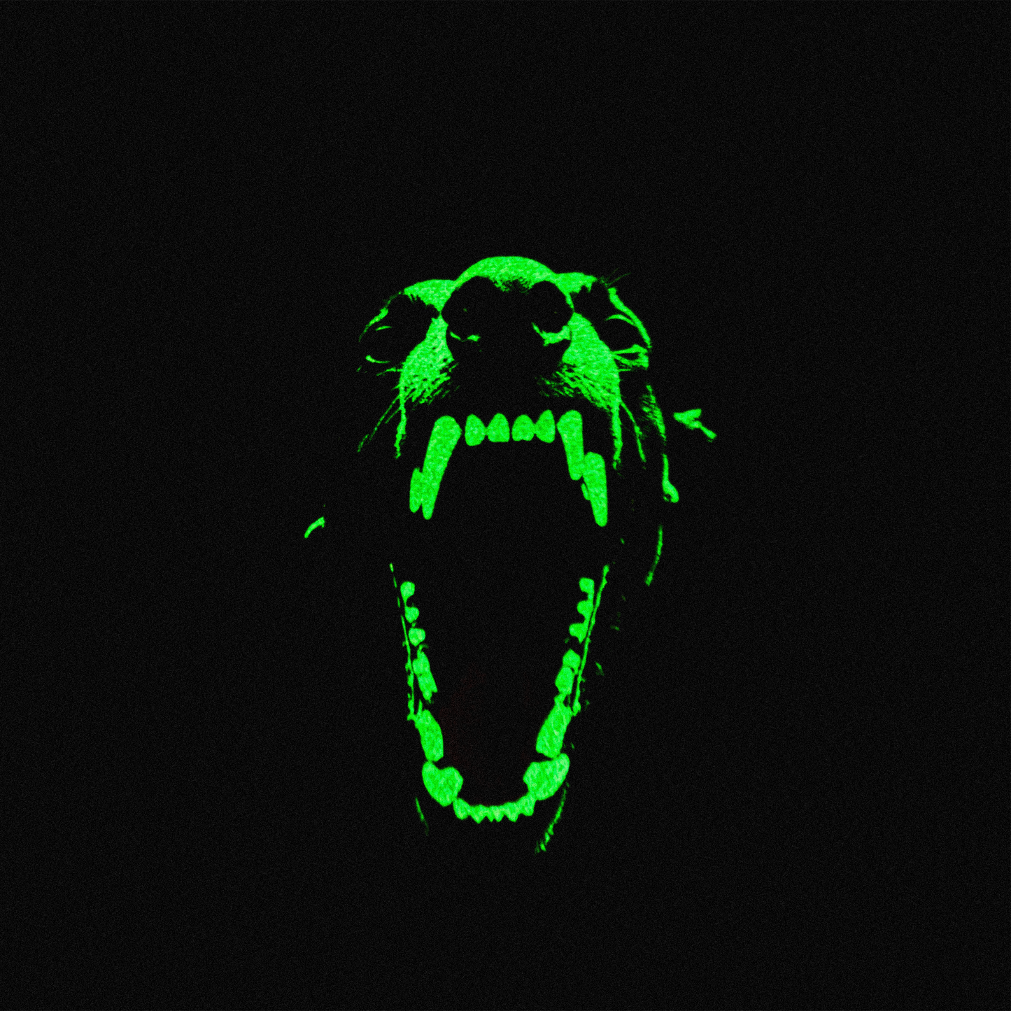 Dog Hoodie (Glow In The Dark)